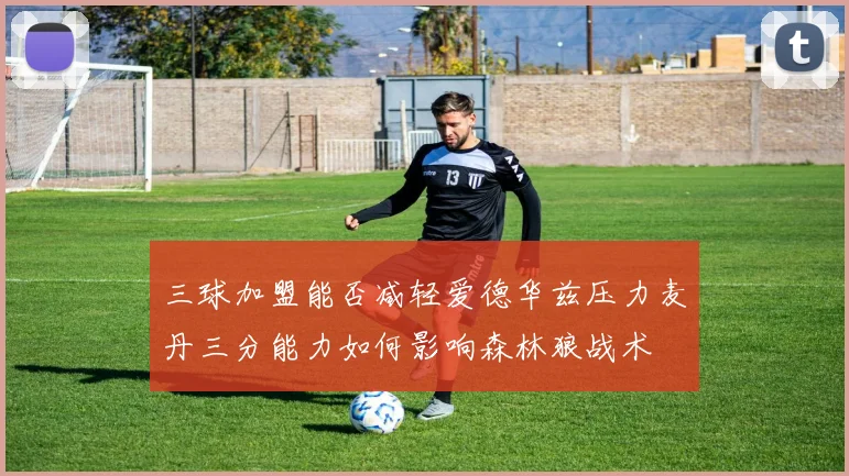 三球加盟能否减轻爱德华兹压力麦丹三分能力如何影响森林狼战术