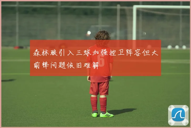 森林狼引入三球加强控卫阵容但大前锋问题依旧难解